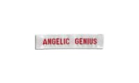 Angelic Genius Promo Codes