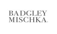 Badgleymischka promo codes