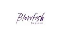 Blowfishshoes promo codes