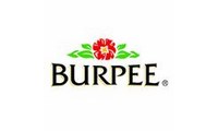 Burpee promo codes