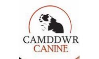 Camddwr Canine Uk promo codes