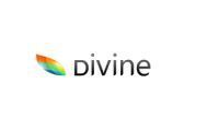 Divine Project promo codes