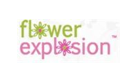 Flowerexplosion promo codes