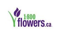 1-800-flowers Canada promo codes