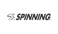 Spinning promo codes