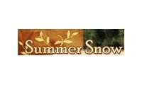 Summer Snow Art promo codes